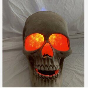 Haunted Living LED Light show Fire & Ice Skull Projector 10” Halloween